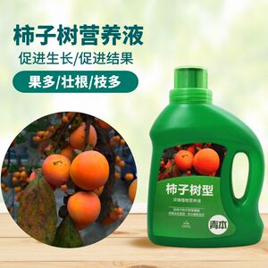 青本柿子树专用营养液