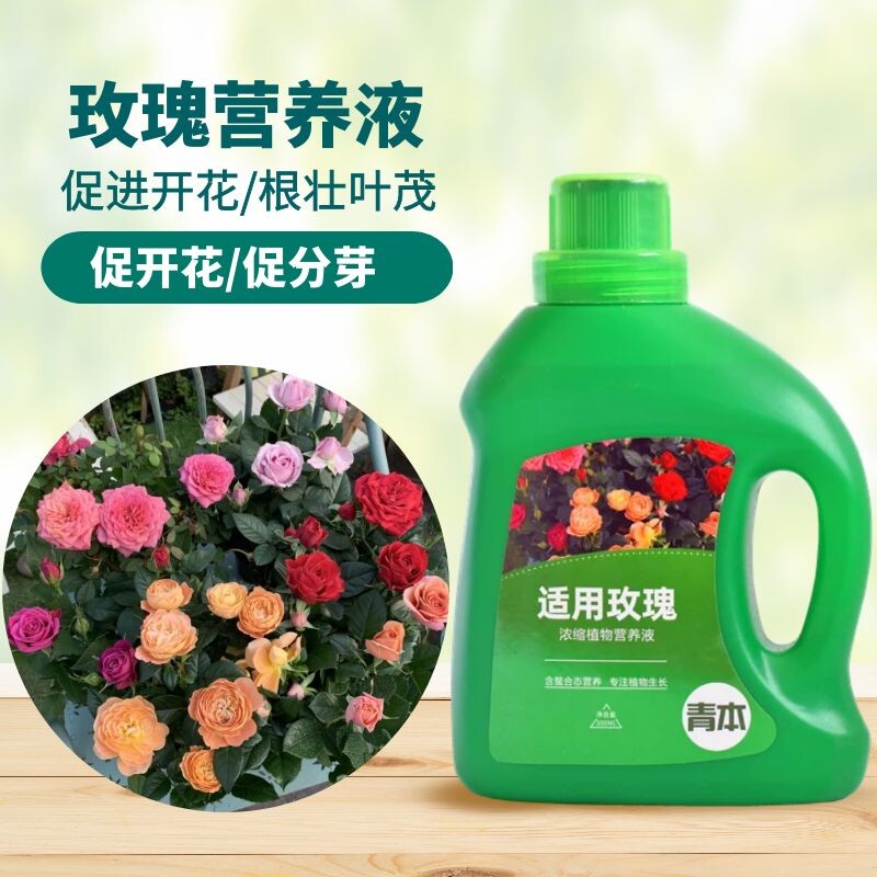 青本玫瑰型专用营养液