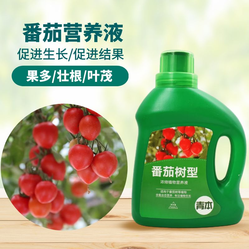 青本番茄肥料专用肥营养液