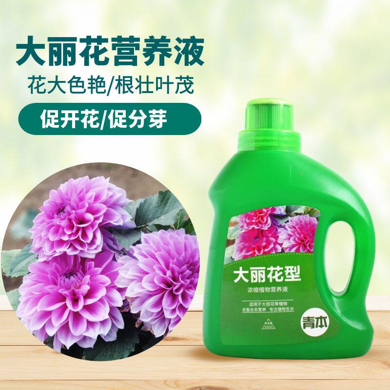 青本大丽花专用营养液