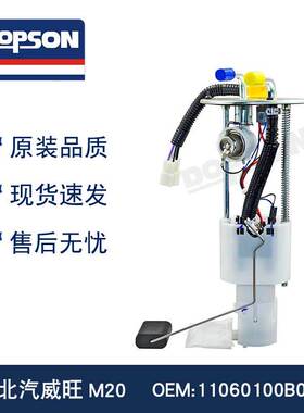 11060100B01000 北汽威旺M20 燃油泵总成