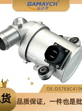 机油发电机冷却电子水泵 适用福特车型 汽车水泵OE:DS7E8C419CB