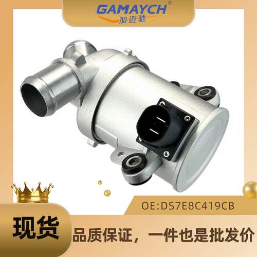 机油发电机冷却电子水泵 适用福特车型 汽车水泵OE:DS7E8C419CB
