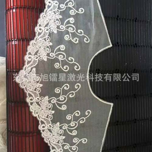 皮革面料自动开料激光切割烧花机 内衣布料1610M自动送料激光裁床