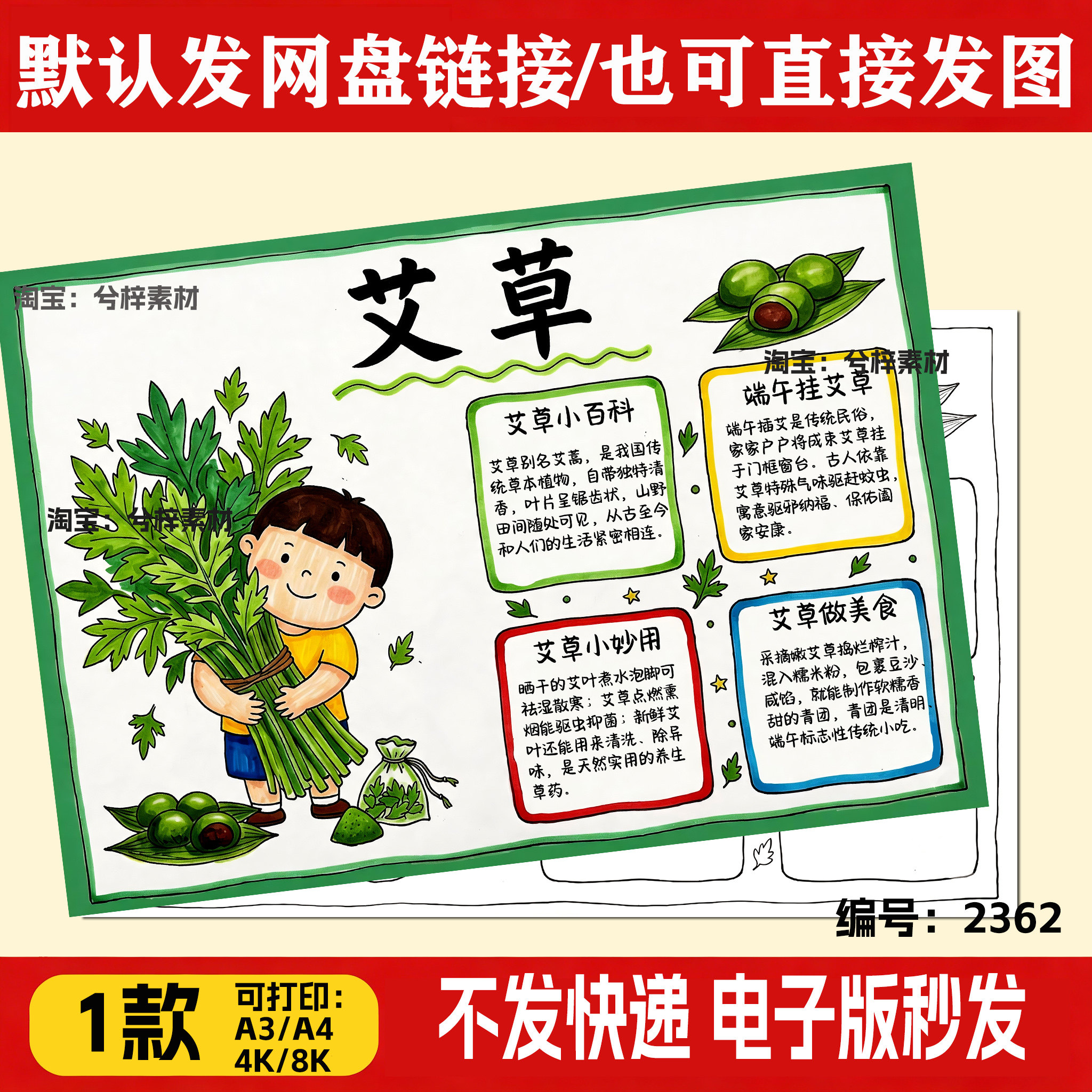 中草药艾草手抄报黑白线描涂色空白小学生画艾草艾叶中药小报模板