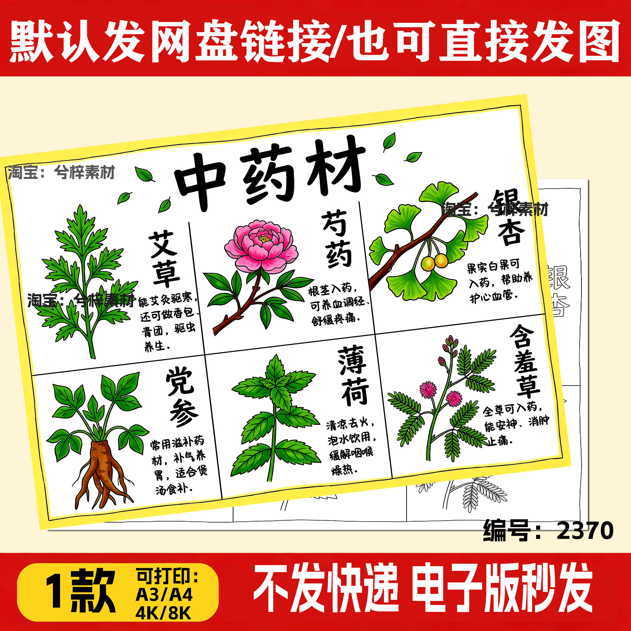 神奇的中草药手抄报模板小学生六格绘画黑白线稿简单可打印手绘a4