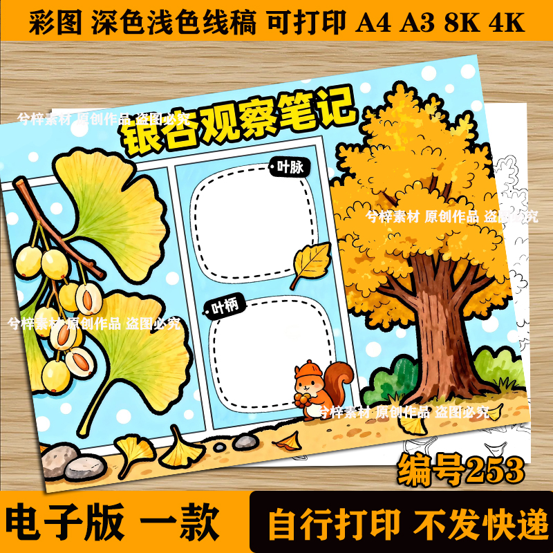 植物生长手抄报银杏自然笔记模板植物观察记录卡小报三年级线稿