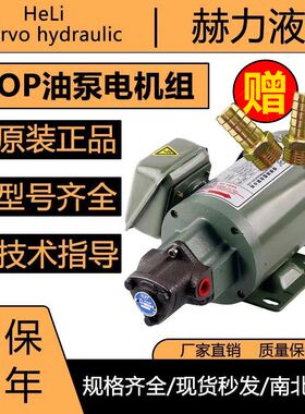 TOP 11A 12A 工业液压齿轮润滑泵三角油泵摆线泵维良WLP油泵电机