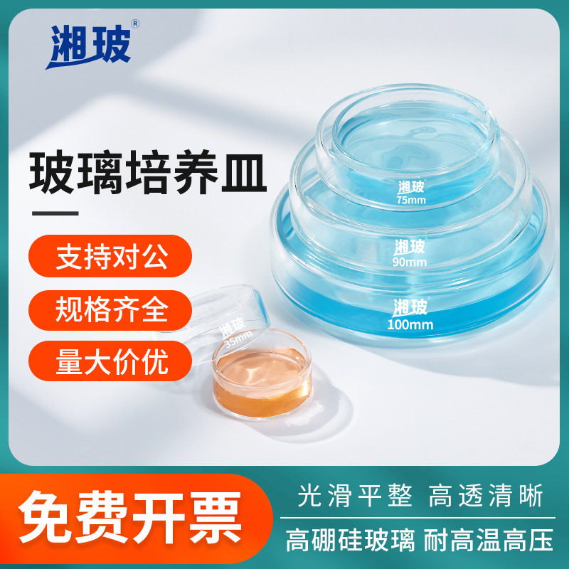 湘玻玻璃培养皿实验室平皿细胞植物弧菌酵种35/90/100mm耐高温