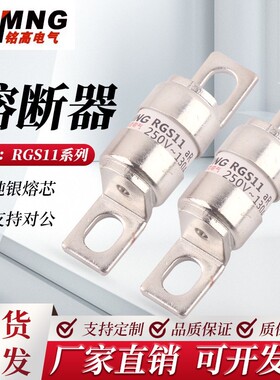 新能源汽车熔断器AC/DC250V快速熔断器RSM1656/RGS12/RS308/RGS11