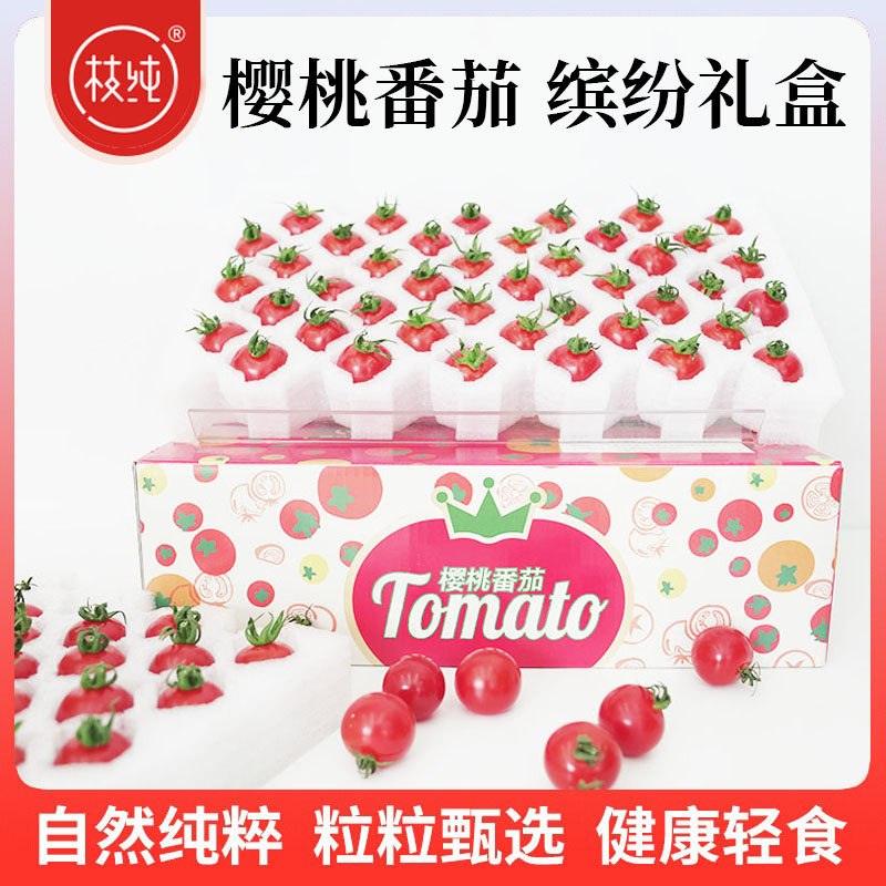 【枝纯】樱桃小番茄缤纷礼盒1kg