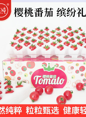 【枝纯】樱桃小番茄甄选礼盒红色小柿子1kg健康轻食代餐粒粒甄选