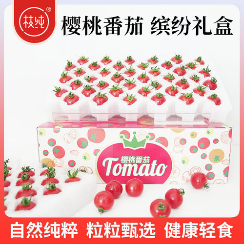 【枝纯】樱桃小番茄缤纷礼盒1kg