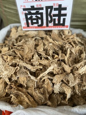 南方药材市场野生中药材商陆  500g包邮