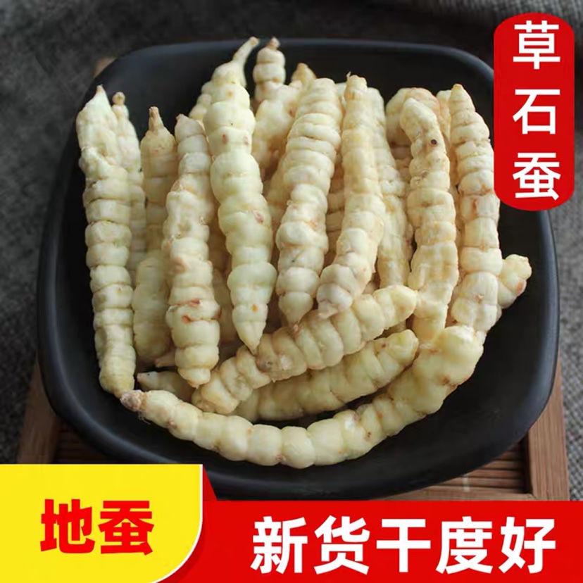 草石蚕中草药材无硫食品土冬虫草地蚕250g螺丝菜泡酒泽兰根甘露子