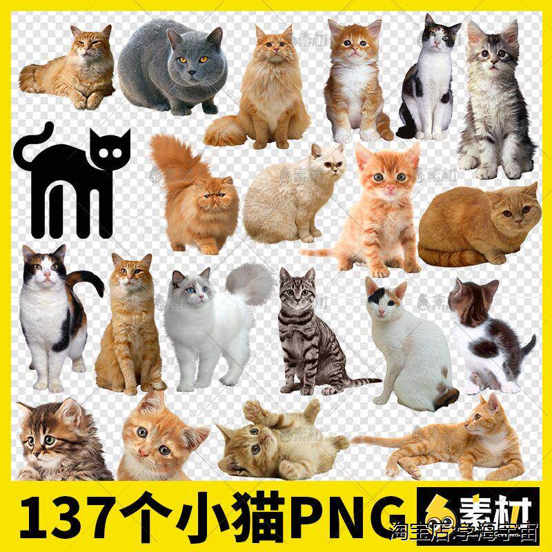 小猫咪黑色白色花猫可爱动物宠物剪影卡通png免抠ps图片ppt素材