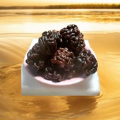 猴脑菇核桃菌玛瑙菌干货食材500g海参菇黑松菌玛咖菌食用农产品