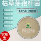 哈茨木霉 改良土壤抗重茬 水谷欣300亿 克枯草芽孢杆菌