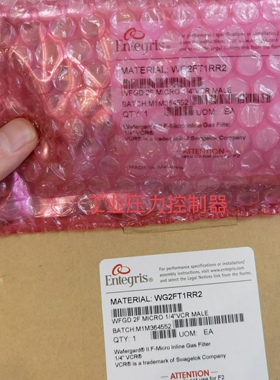 美国entegris英特格过滤器WG2FT1RR2全新原装