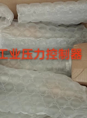 PMP131-A2501A1T A3101A1S A3201A1R A4101A1Q压力传感变送器E+H