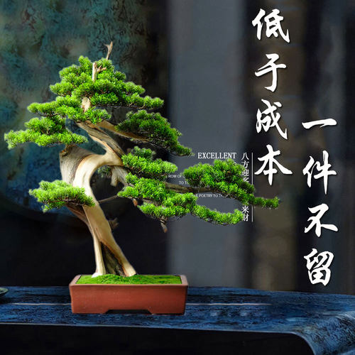 原创仿真迎客松盆景陈化崖柏罗汉松玄关摆件松树盆景仿真饰品松树 - 封面