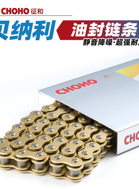 适用于贝纳利小迅龙BN150S摩托车红宝龙TNT150i正品征和油封链条