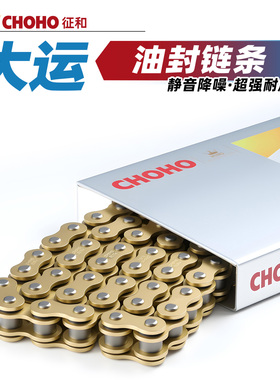 适用于大运天錾150R摩托车200R PTG200X DY200-6F征和油封链条