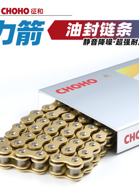 适用于力箭LJ200B边三轮摩托车原厂征和油封链条