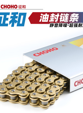 适用于NLP Devils ST01摩托车原厂征和油封链条