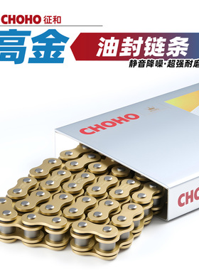 适用于高金GK400摩托车Storr500 1200 Hawk1000征和油封链条