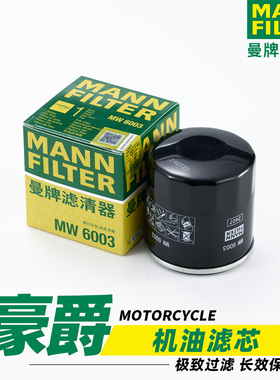 适用于豪爵TR300摩托车DR300 XCR300 250 GW300J机油格滤芯