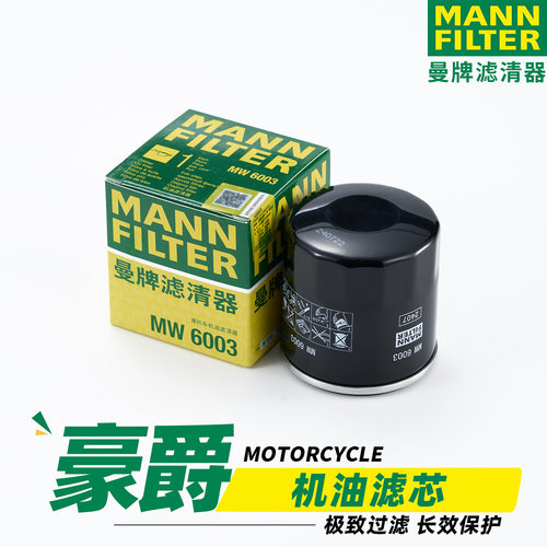 适用于豪爵TR300摩托车DR300 XCR300 250 GW300J机油格滤芯