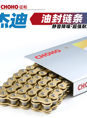 适用于杰迪傑750摩托车GZ250 Custom原厂征和油封链条