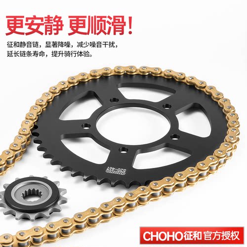 适用于豪爵DR250链条三件套原装静音牙盘链轮征和油封链条