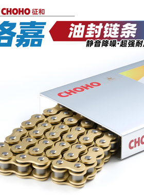 适用于洛嘉LJ200B边三轮摩托车原厂征和油封链条