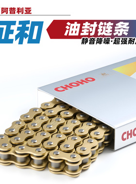 适用于阿普利亚RS660摩托车RS V4 RS457 Shiver900征和油封链条