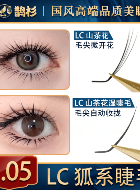鹊杉LC型狐系睫毛嫁接LB型广角中泰式漫画山茶花不散根美睫店专用