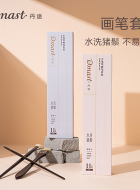 Dmast丹途水洗猪鬃水粉笔套装勾线尼龙水粉笔专业油画笔套装美术生专用