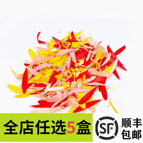 新鲜金盏丝25g太阳花瓣非洲菊