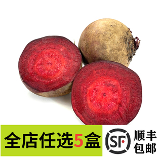 新鲜 甜菜头 红菜头 甜根菜 甜菜头 酵素甜菜头紫菜头 500g