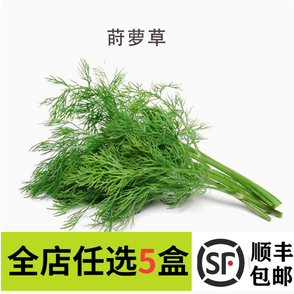 顺丰速运，火速抵达