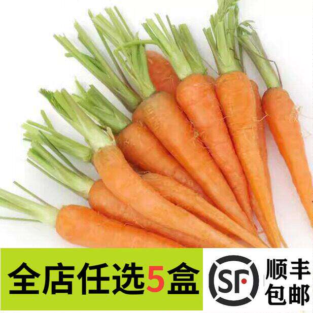 新鲜去叶手指胡萝卜250g