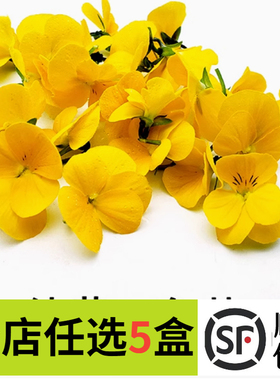 新鲜黄色三色堇 50朵三色花 西餐摆盘菜装饰餐饮摆盘鲜花草