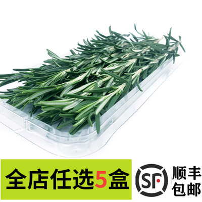 新鲜迷迭香嫩绿30根/盒