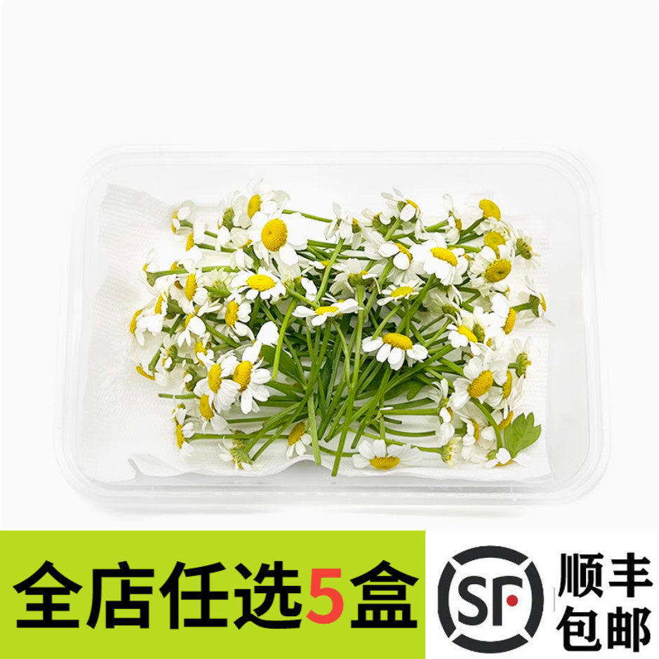 新鲜 洋甘菊50朵 小白菊西餐日料烘焙酒店餐厅摆盘装饰点缀花草叶