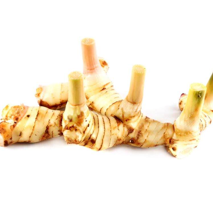 泰国南姜500g 新鲜泰式冬阴功汤原材料调料 火锅底料蔬菜生姜香料