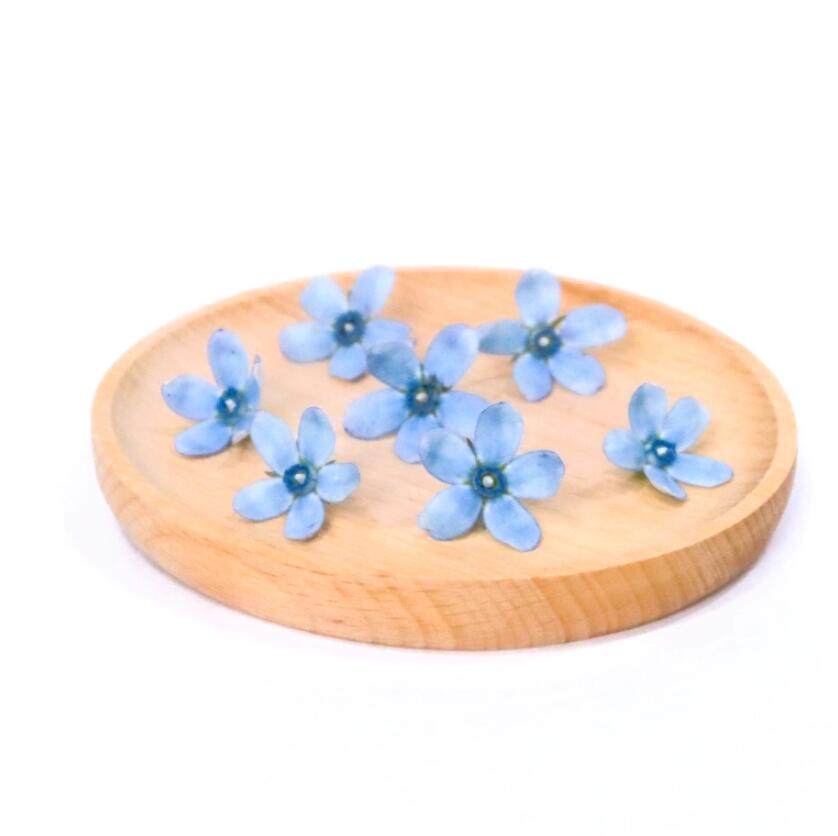 新鲜蓝星花 南心花 20朵 装饰烘焙蛋糕摆盘西餐酒店调酒摆盘点缀,水产肉类/新鲜蔬果/熟食,其它,淘宝优惠券,粉丝福利购,淘宝优惠卷