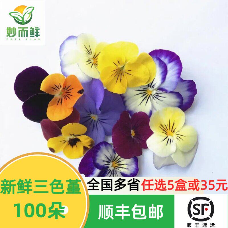 新鲜三色堇酒店餐饮花草摆盘装饰合集薄荷清香木叶子蛋糕烘焙点缀