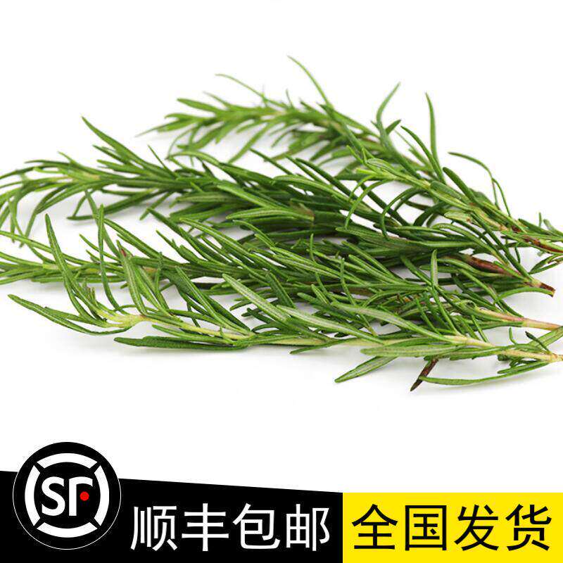 新鲜迷迭香牛排用食用香料西餐食材调味烘焙蛋糕装饰摆盘迷失香