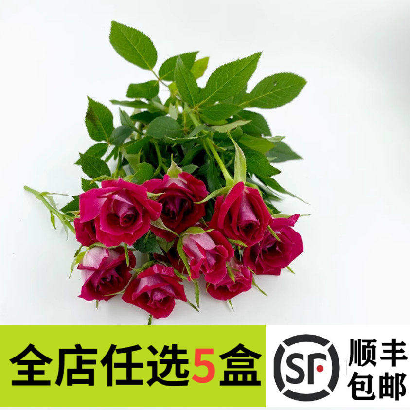 小玫瑰花朵新鲜15朵/盒 多头玫瑰 酒店西餐冷盘摆盘装饰